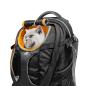 Mobile Preview: Kurgo G-Train K9 Hunderucksack (auch für Katzen!) bis 11kg